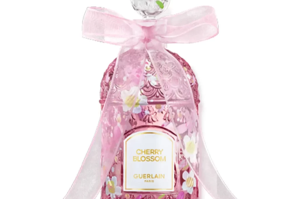 Cherry Blossom